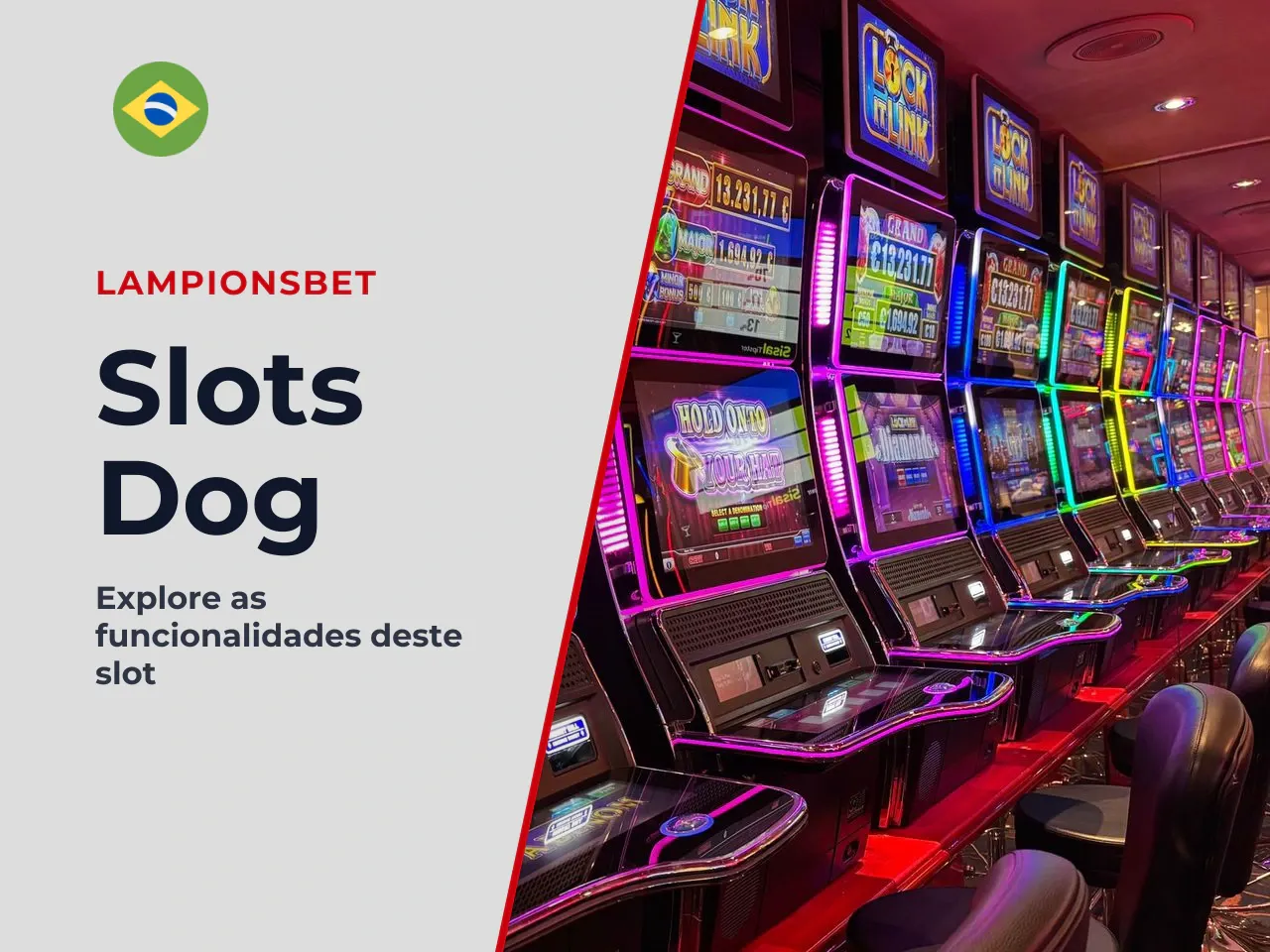 O que é The Dog House